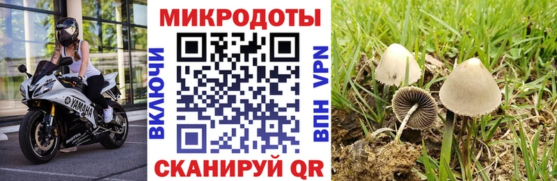 мориарти какой сайт  Сольцы  ссылка на мегу как войти  Псилоцибиновые грибы GOLDEN TEACHER  купить закладку 
